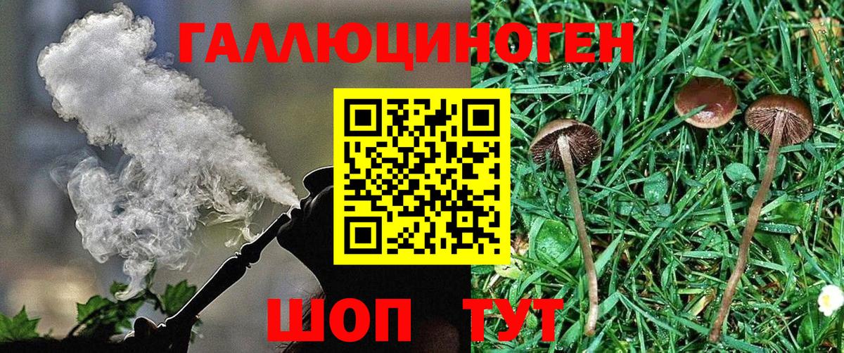 Галлюциногенные грибы GOLDEN TEACHER  Псилоцибиновые грибы мухоморы  Дивногорск  Вход с VPN 
